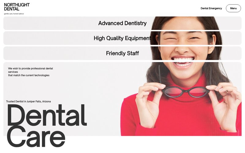 Northlight Dental Care — black-and-white editorial dental site hero with a photo mosaic of rounded cards